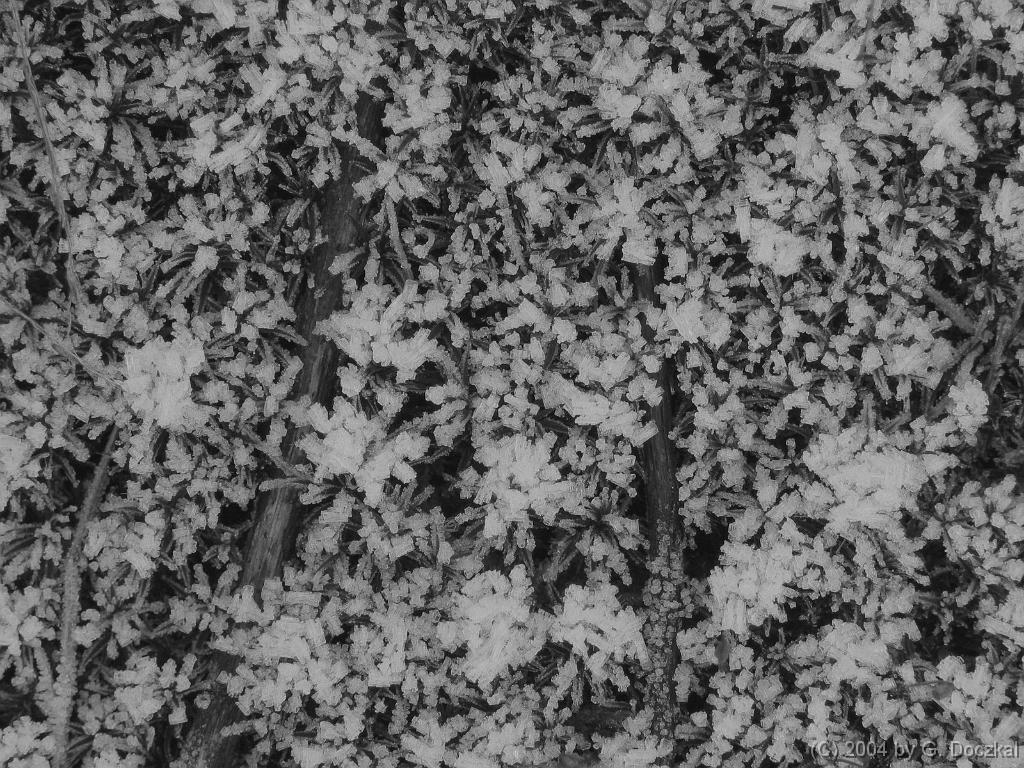 2004-029