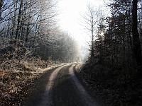  (C) 2004 by G. Doczkal, 
Winterimpressionen, 
Eichelberg, Schwarzwald bei Waldprechtsweier, Baden-Württemberg, Germany