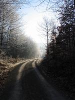  (C) 2004 by G. Doczkal, 
Winterimpressionen, 
Eichelberg, Schwarzwald bei Waldprechtsweier, Baden-Württemberg, Germany