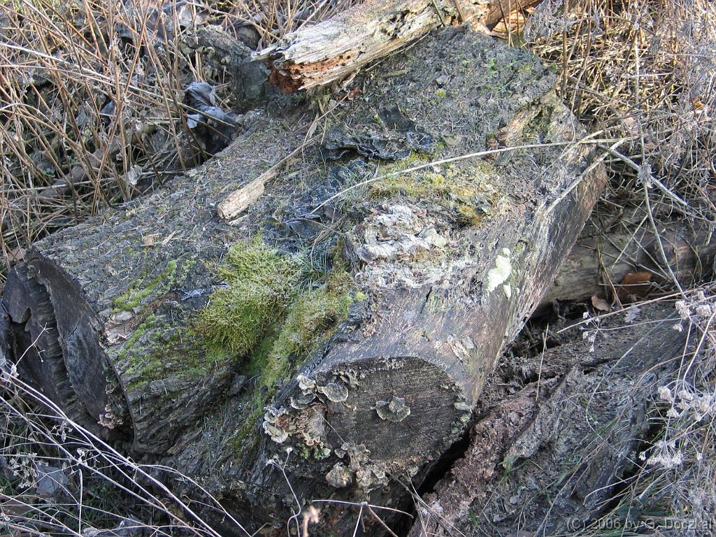 20060123-111609-1