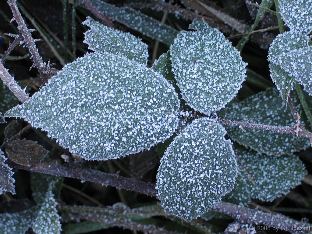 20060123-112731-7