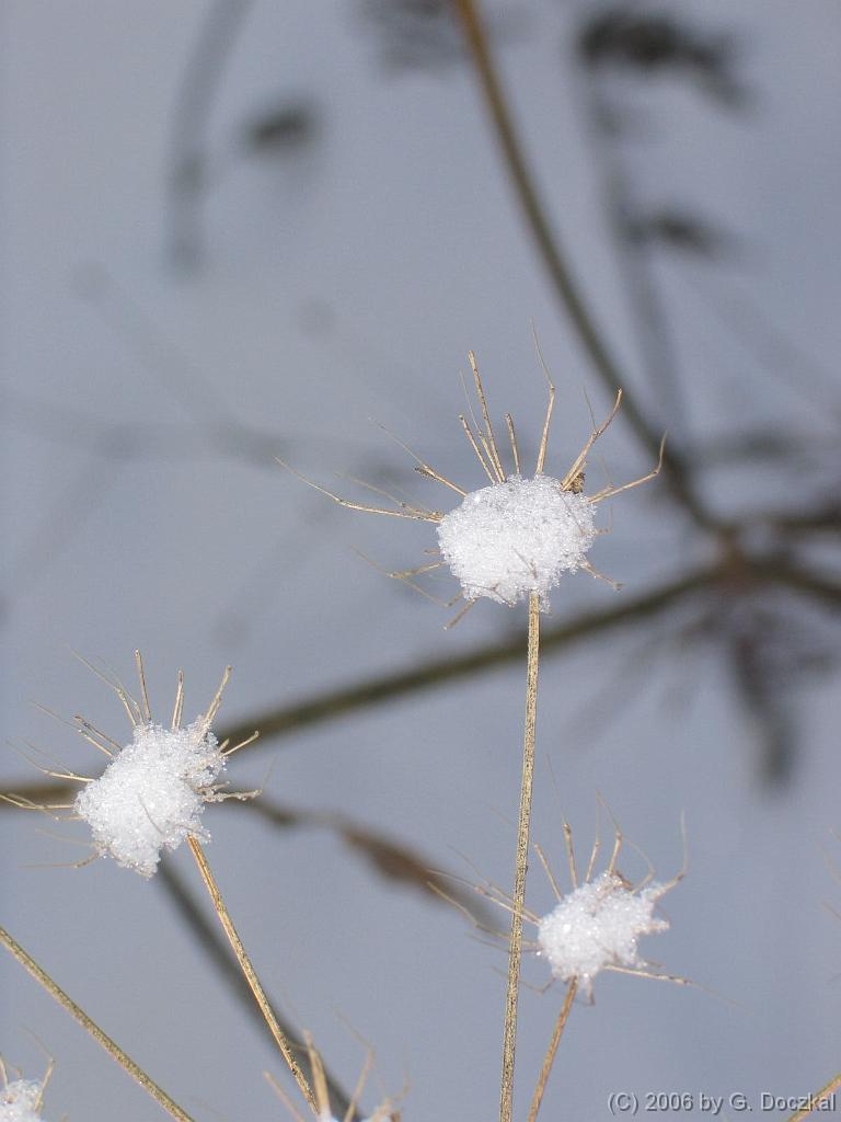 20060127-101048-19
