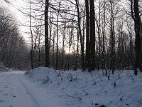  (C) 2006 by G. Doczkal, 
Winterwald, 
Eichelberg, Schawrzwald bei Waldprechtsweier, Baden-Württemberg, Germany