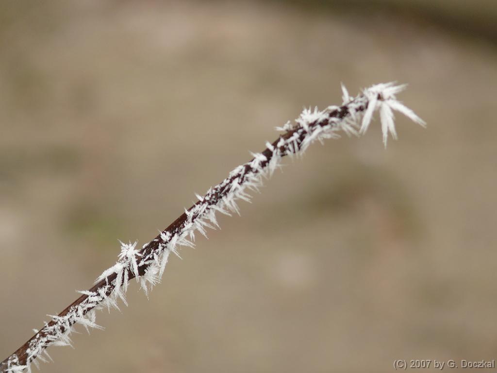 20071221-144019-84