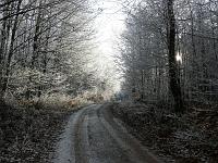  (C) 2007 by G. Doczkal, 
Winterimpressionen, 
Eichelberg bei Waldprechtsweier, Baden-Württemberg, Germany