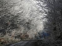 (C) 2007 by G. Doczkal, 
Winterimpressionen, 
Eichelberg bei Waldprechtsweier, Baden-Württemberg, Germany