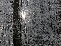  (C) 2007 by G. Doczkal, 
Winterimpressionen, 
Eichelberg bei Waldprechtsweier, Baden-Württemberg, Germany