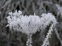  (C) 2007 by G. Doczkal, 
Winterimpressionen, 
Eichelberg bei Waldprechtsweier, Baden-Württemberg, Germany