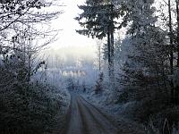  (C) 2007 by G. Doczkal, 
Winterimpressionen, 
Eichelberg bei Waldprechtsweier, Baden-Württemberg, Germany