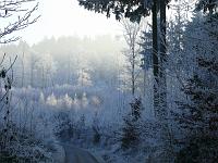  (C) 2007 by G. Doczkal, 
Winterimpressionen, 
Eichelberg bei Waldprechtsweier, Baden-Württemberg, Germany