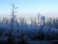  (C) 2007 by G. Doczkal, 
Winterimpressionen, 
Eichelberg bei Oberweier, Baden-Württemberg, Germany