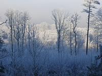 (C) 2007 by G. Doczkal, 
Winterimpressionen, 
Eichelberg bei Oberweier, Baden-Württemberg, Germany