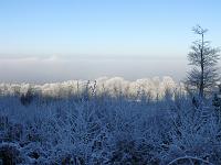  (C) 2007 by G. Doczkal, 
Winterimpressionen, 
Eichelberg bei Oberweier, Baden-Württemberg, Germany