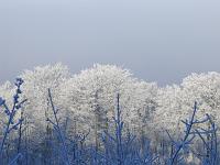  (C) 2007 by G. Doczkal, 
Winterimpressionen, 
Eichelberg bei Oberweier, Baden-Württemberg, Germany