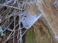  (C) 2007 by G. Doczkal, 
Winterimpressionen, 
Eichelberg bei Oberweier, Baden-Württemberg, Germany