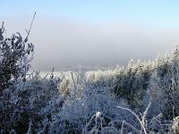  (C) 2007 by G. Doczkal, 
Winterimpressionen, 
Eichelberg bei Winkel, Baden-Württemberg, Germany