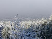  (C) 2007 by G. Doczkal, 
Winterimpressionen, 
Eichelberg bei Winkel, Baden-Württemberg, Germany