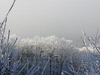  (C) 2007 by G. Doczkal, 
Winterimpressionen, 
Eichelberg bei Winkel, Baden-Württemberg, Germany