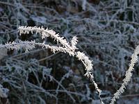  (C) 2007 by G. Doczkal, 
Winterimpressionen, 
Eichelberg bei Winkel, Baden-Württemberg, Germany