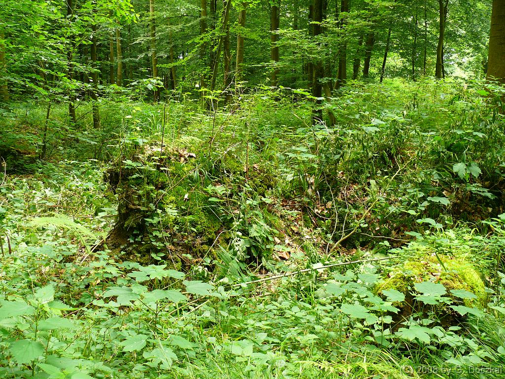 20080524-135224-7