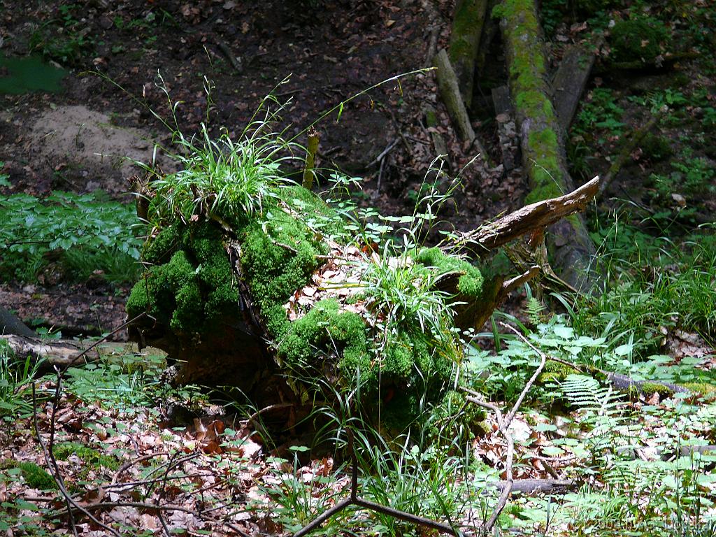 20080524-140243-13