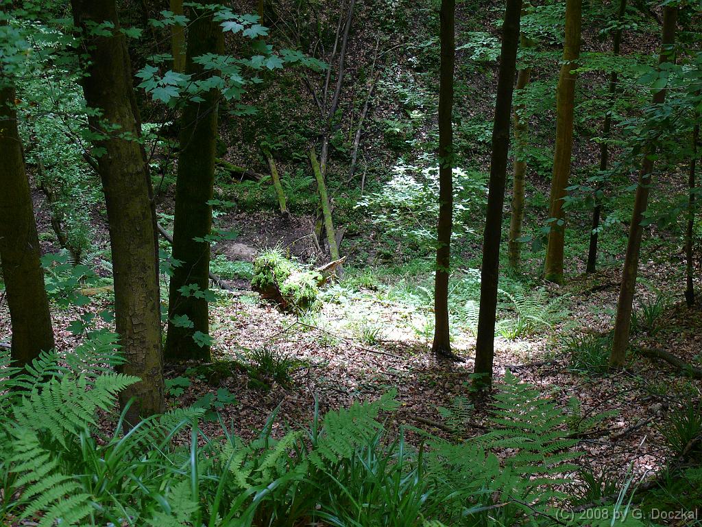 20080524-140257-14