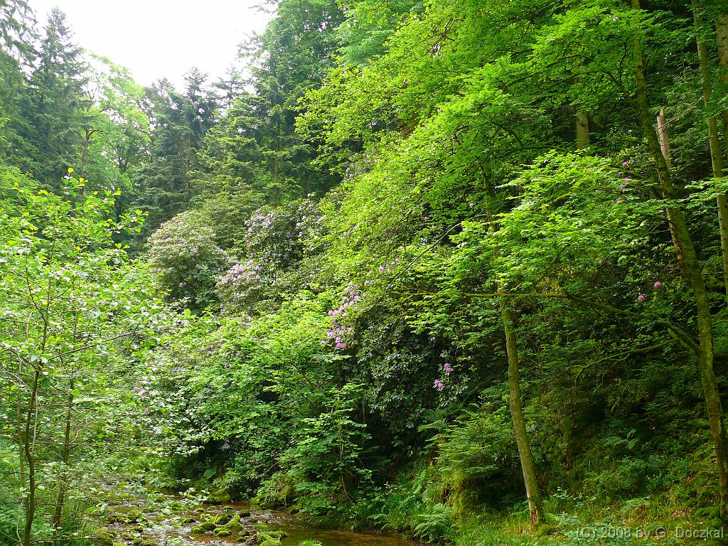 20080526-115908-38