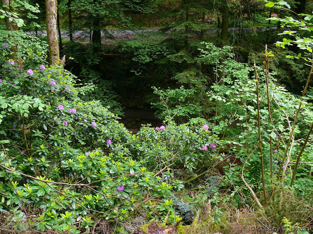 20080526-122006-84