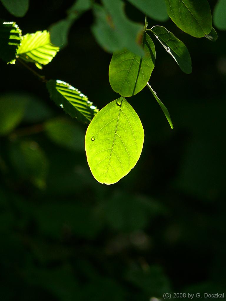 20080802-103903-42