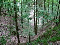  (C) 2008 by G. Doczkal, 
Blick in die Heckelbachklamm, 
Klingen bei Malsch, Baden-Württemberg, Germany
