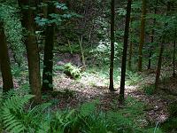  (C) 2008 by G. Doczkal, 
Blick in die Heckelbachklamm, 
Klingen bei Malsch, Baden-Württemberg, Germany