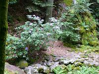 20080526-120641-52