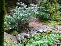 20080526-120649-54