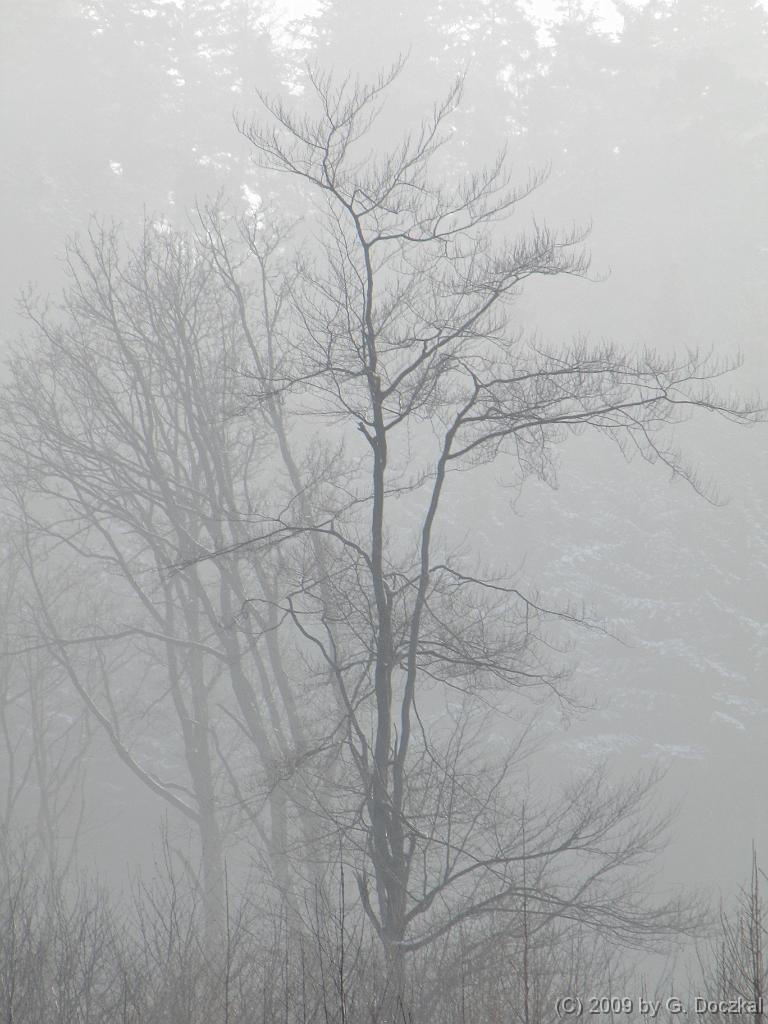 20090108-105537-2