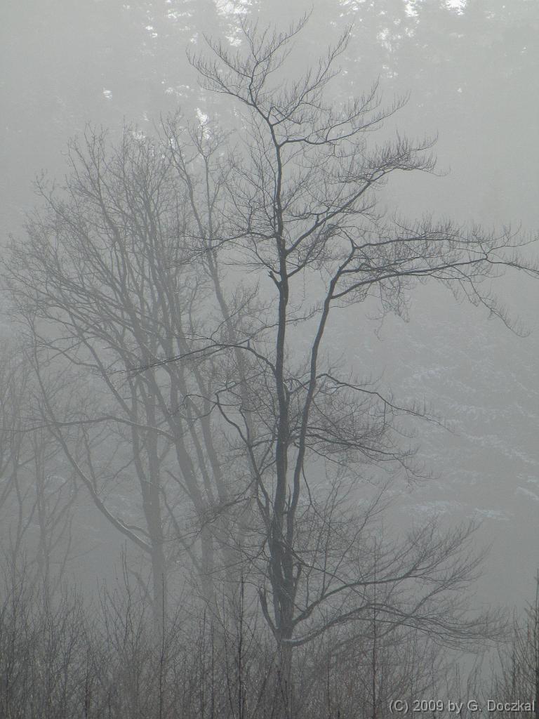 20090108-105617-4