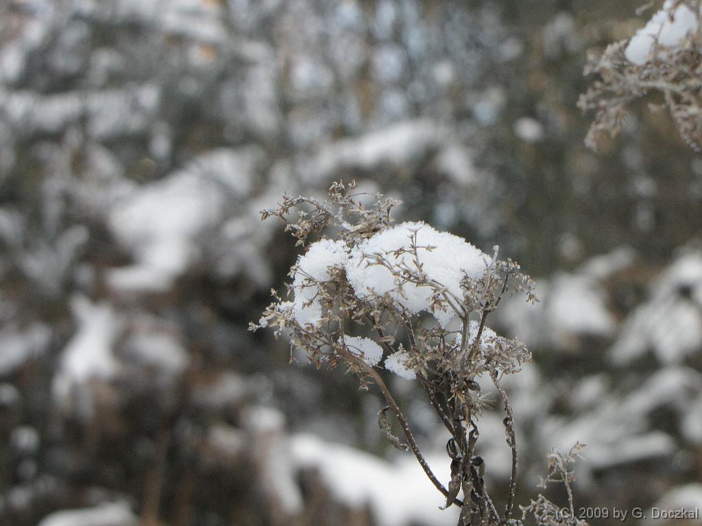 20090108-110454-8
