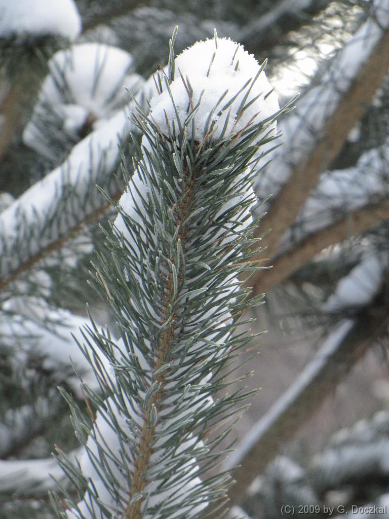 20090108-111824-12