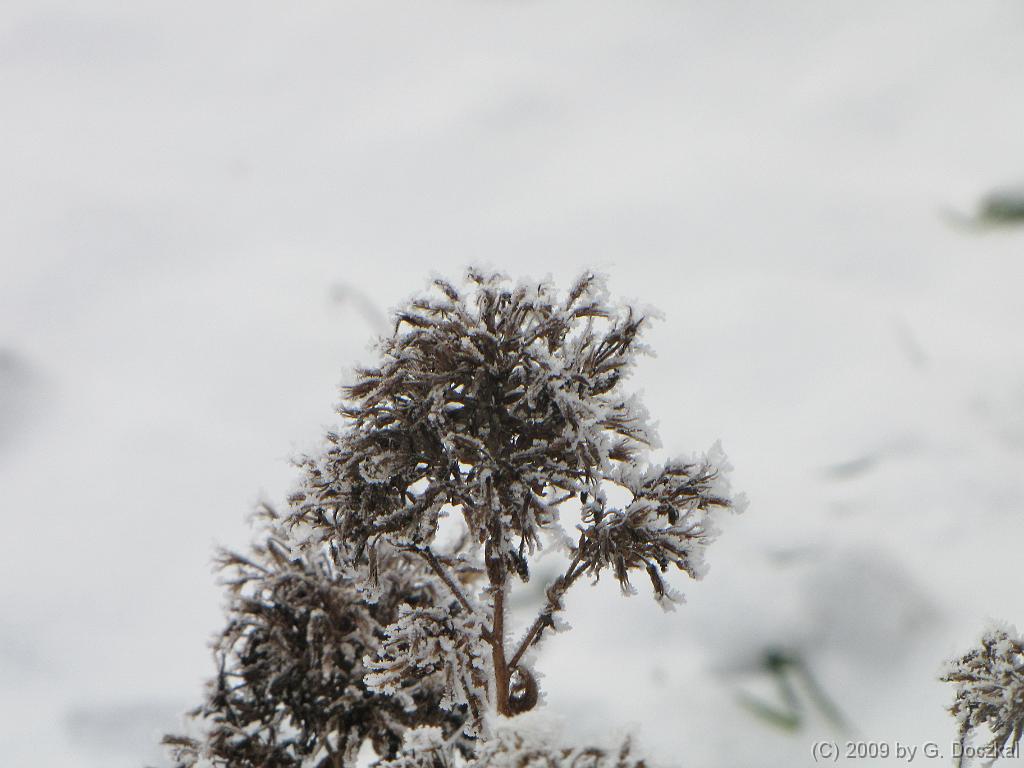 20090112-115654-5