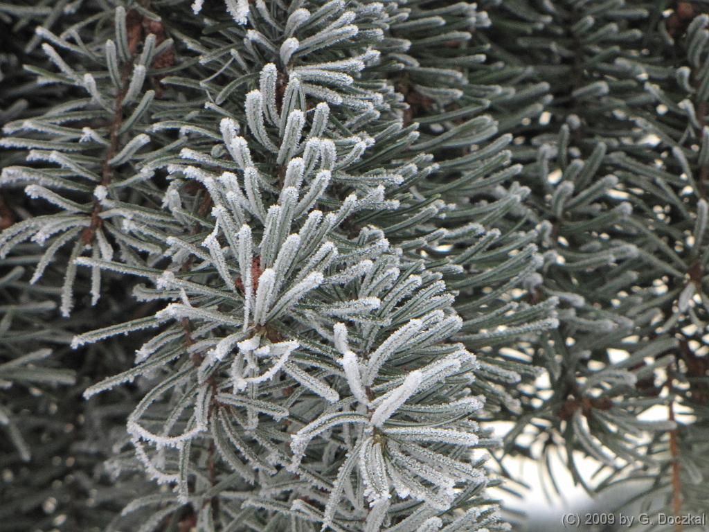 20090112-115841-7