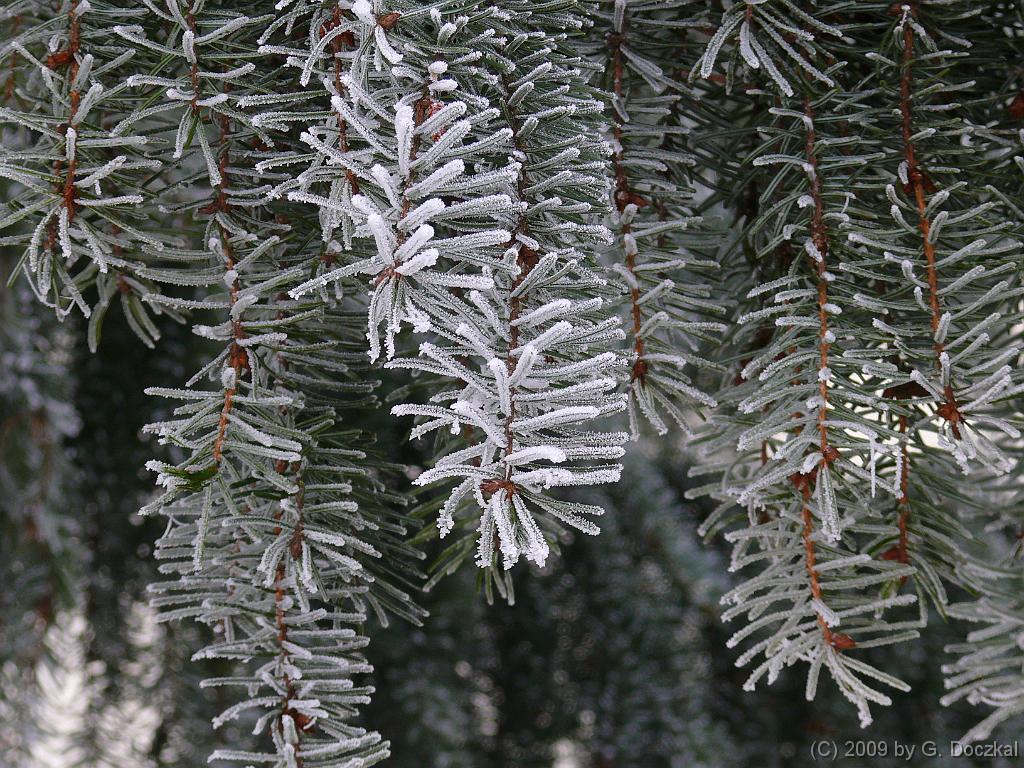 20090112-115856-9