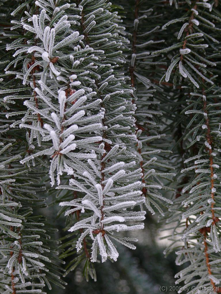 20090112-115930-11