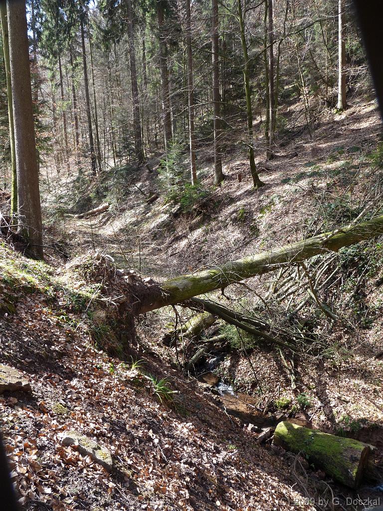 20090318-114943-43