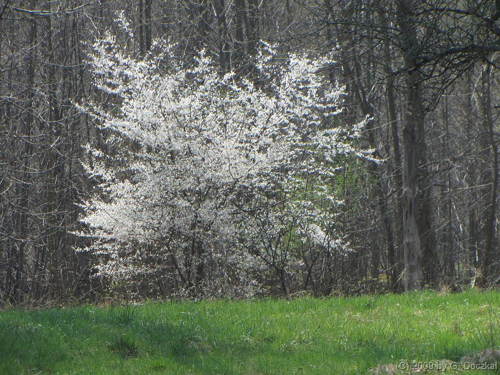 20090404-135646-1