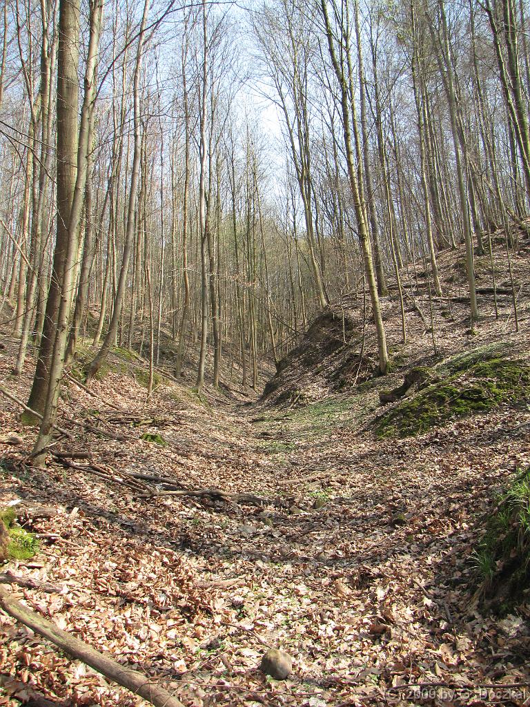 20090404-141644-8
