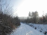  (C) 2009 by G. Doczkal, 
Winter am Eichelberg, 
48.852886°N/8.323956°E, 1.68  Km von Waldprechtsweier, Baden-Württemberg, Germany