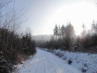  (C) 2009 by G. Doczkal, 
Winter am Eichelberg, 
48.852947°N/8.324014°E, 1.67  Km von Waldprechtsweier, Baden-Württemberg, Germany