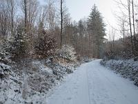  (C) 2009 by G. Doczkal, 
Winter am Eichelberg, 
48.852245°N/8.326628°E, 1.68  Km von Waldprechtsweier, Baden-Württemberg, Germany