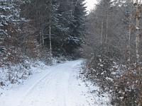  (C) 2009 by G. Doczkal, 
Winter am Eichelberg, 
48.847813°N/8.326919°E, 1.78  Km von Winkel, Baden-Württemberg, Germany