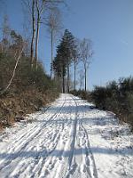  (C) 2009 by G. Doczkal, 
Winter am Eichelberg, 
48.837677°N/8.327635°E, 0.94  Km von Winkel, Baden-Württemberg, Germany