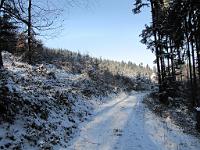 (C) 2009 by G. Doczkal, 
Winter am Eichelberg, 
48.842201°N/8.336666°E, 1.76  Km von Winkel, Baden-Württemberg, Germany